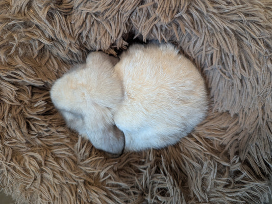 Sable Point Reservation DOE