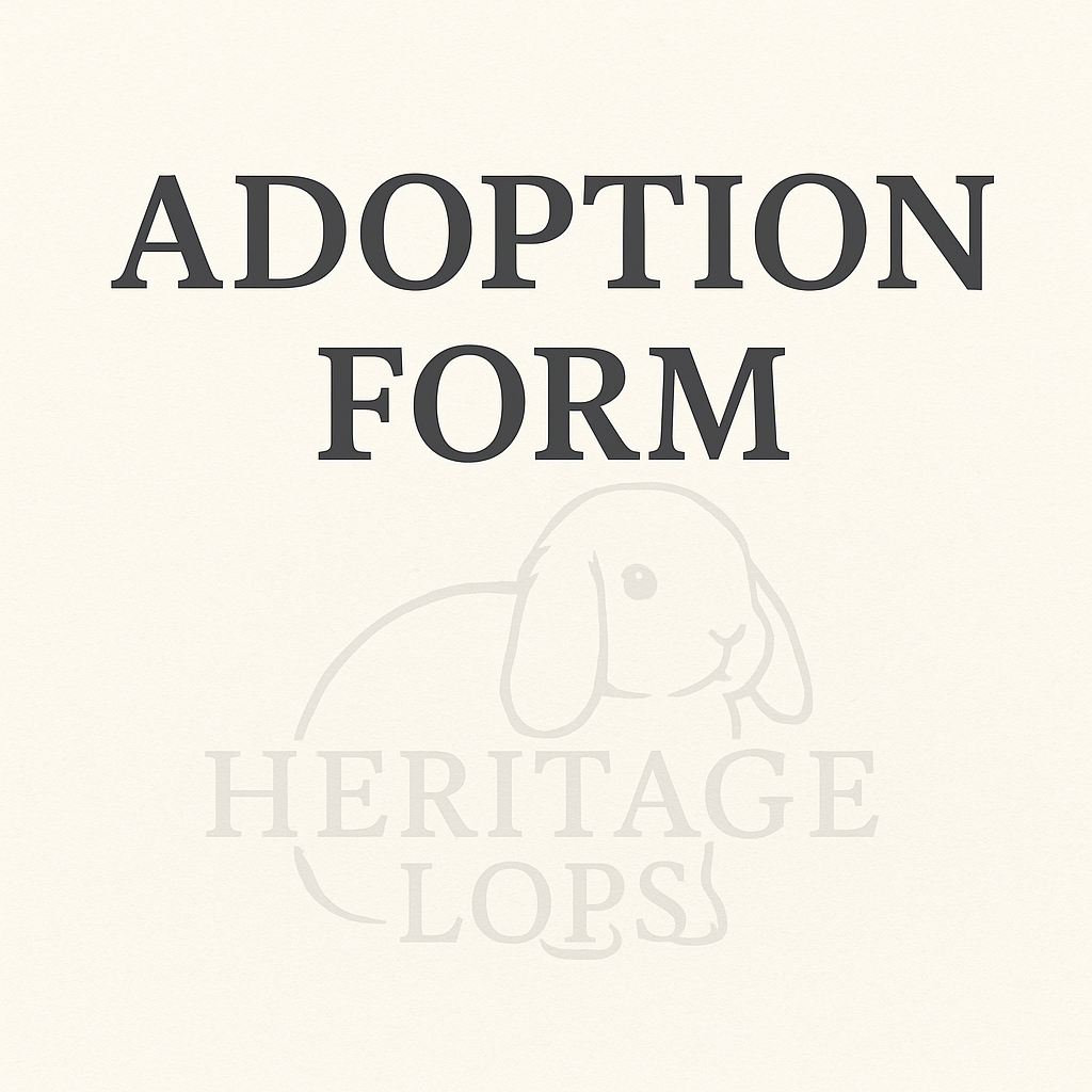 Adoption Application