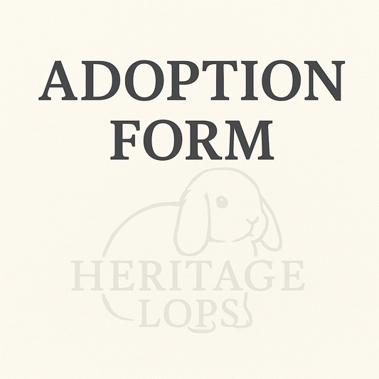 Adoption Application